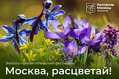 Эколого-просветительский фестиваль «Москва, расцветай!» идет по всему городу, организованный Департаментом природопользования и охраны окружающей среды города Москвы