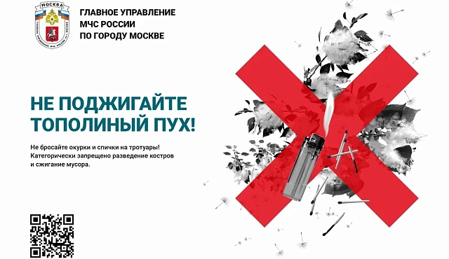 Тополиный пух может стать причиной пожара