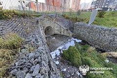Межрайонная природоохранная прокуратура г. Москвы  организовала проверку информации о возможном загрязнении водного объекта – реки Десна